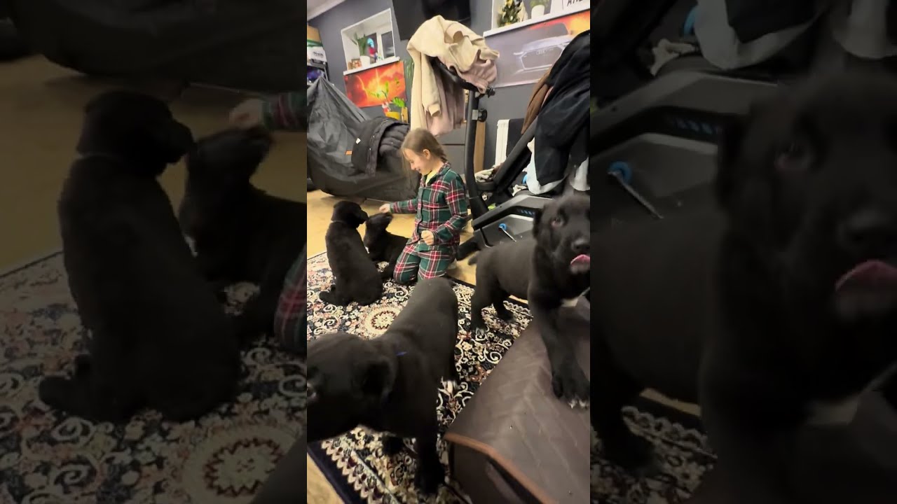 Ленточку каждому🥰