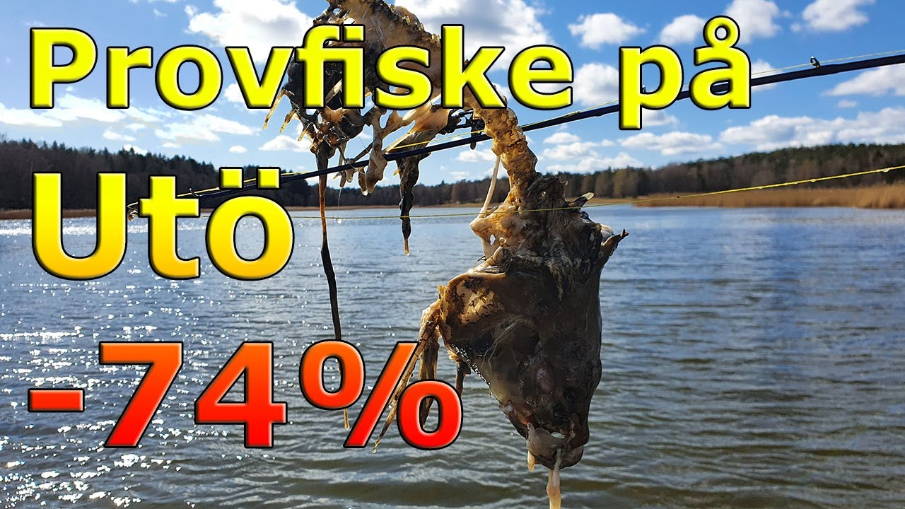 Provfiske på Utö - Stockholms gäddtätaste vik uppäten av säl