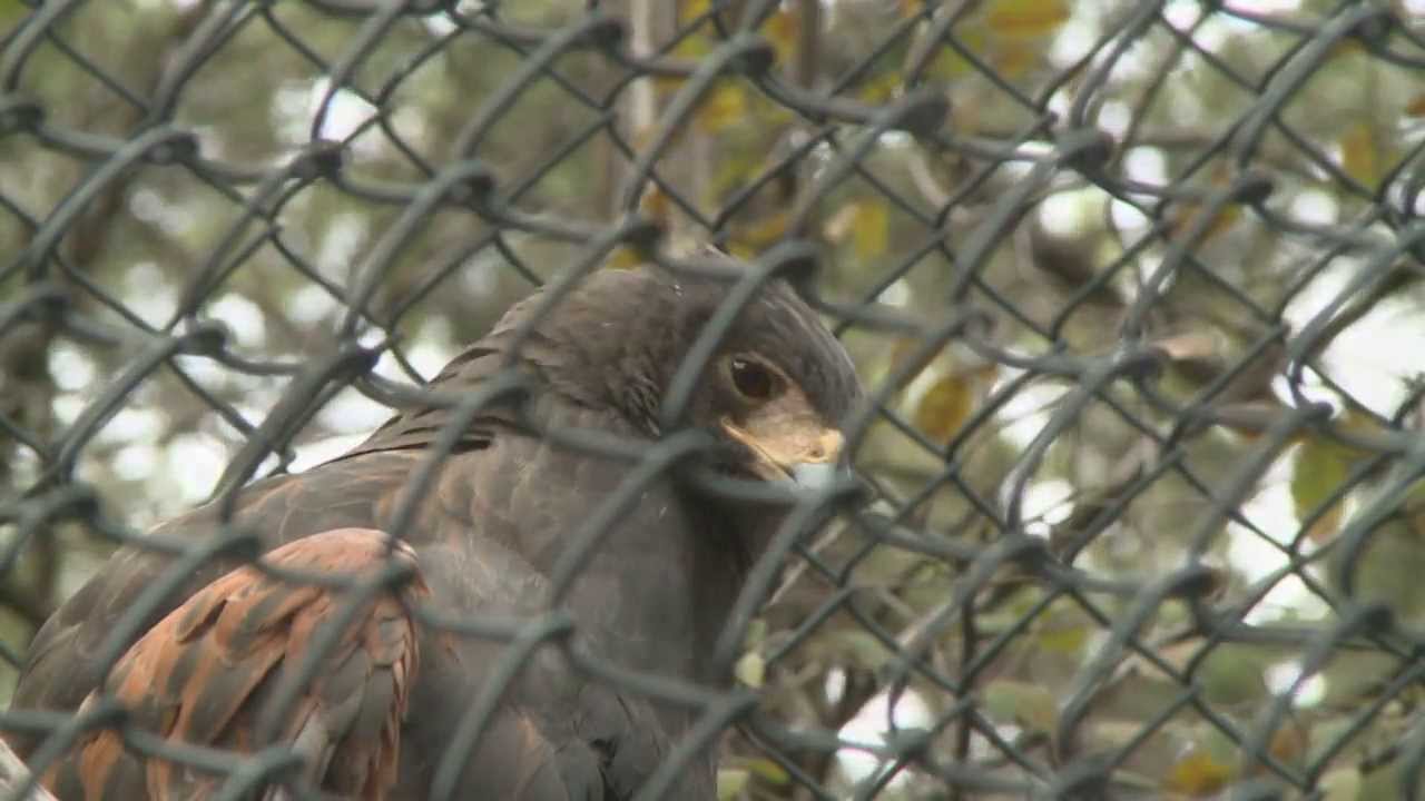 The Texas Bucket List - Austin Nature and Science Center