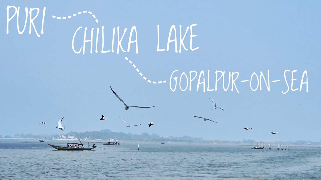Chilika Lake Boat Ride for only ₹10 | Gopalpur Beach | Ep-8 | Day Trip from Puri