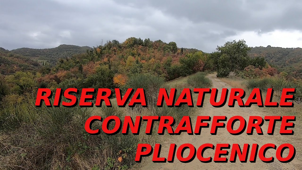Correre e perdersi nei boschi d'autunno intorno al Monte Rosso