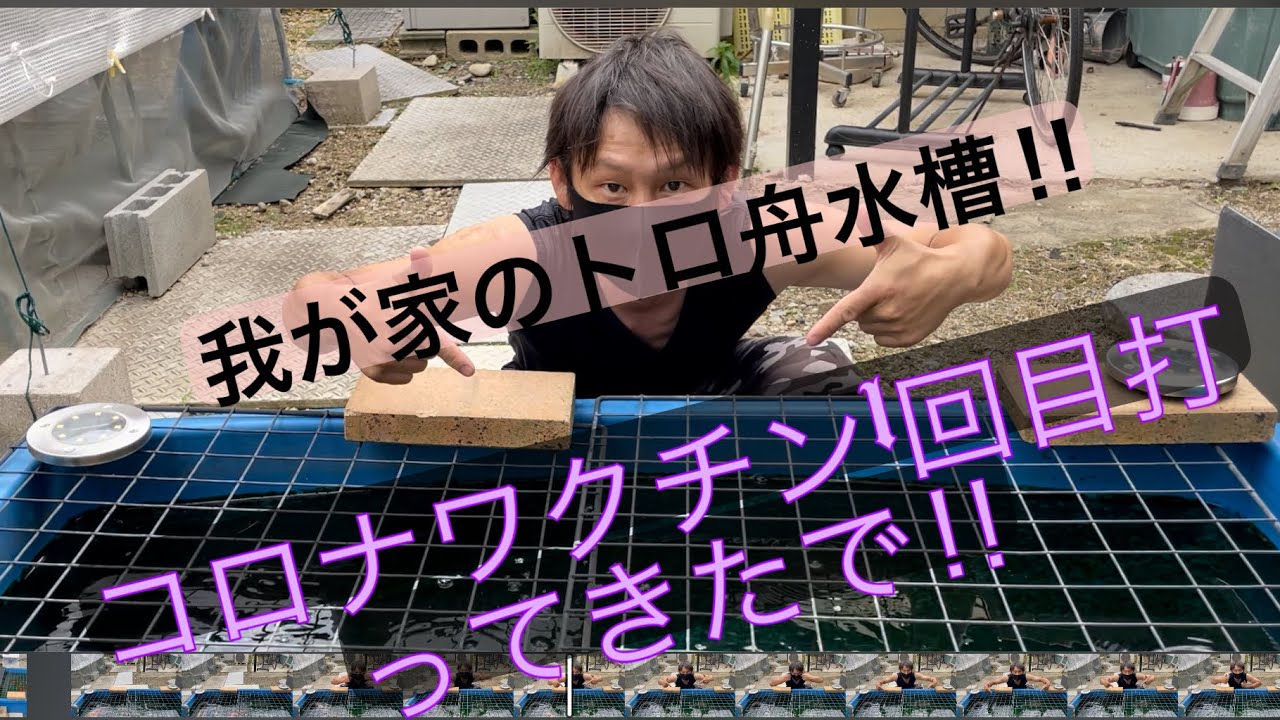 我が家のトロ舟水槽！学んだで‼︎そしてワクチン1回目打ってきたー