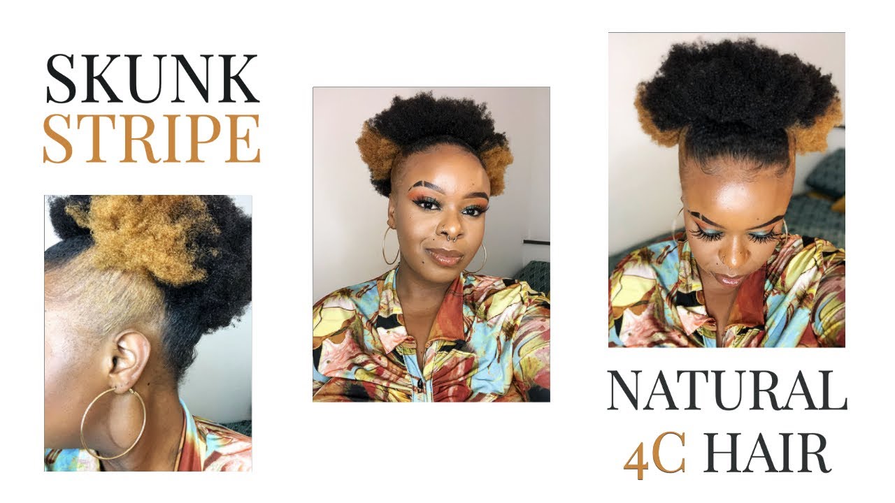 Skunk Stripe on Natural 4C Hair | Dark and Lovely 384 | TikTok | Kehlani