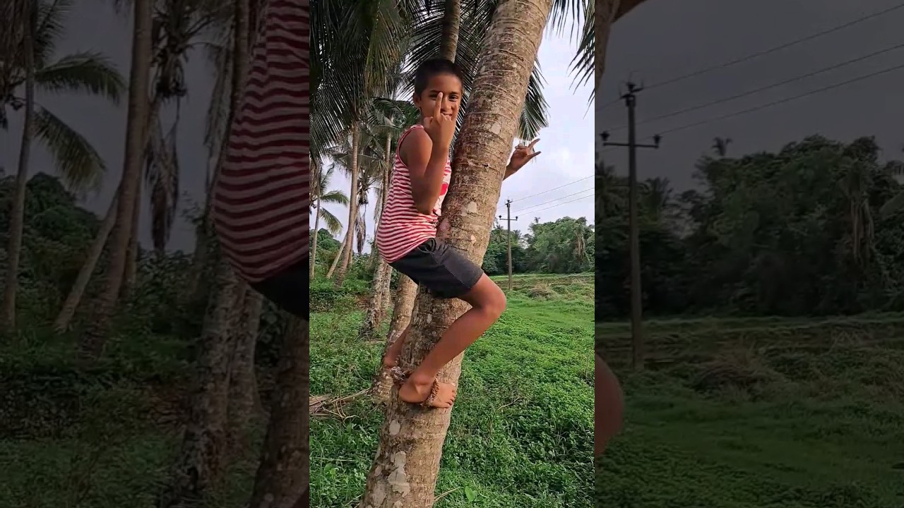Coconut Tree Climbing Made Simple: Step-by-Step Tutorial #shrida #india