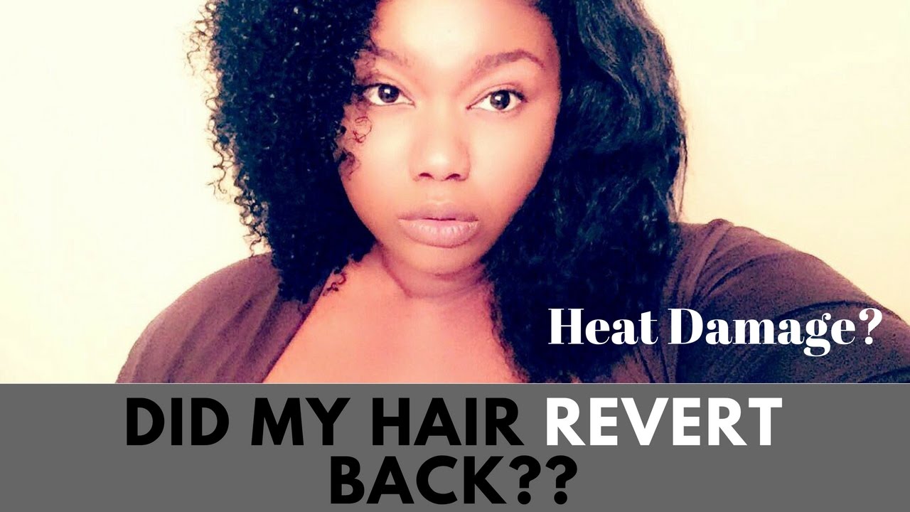 I HAVE HEAT DAMAGE?! Watch my hair revert (Straight to Curly) | Natural Hair - T. Jillian