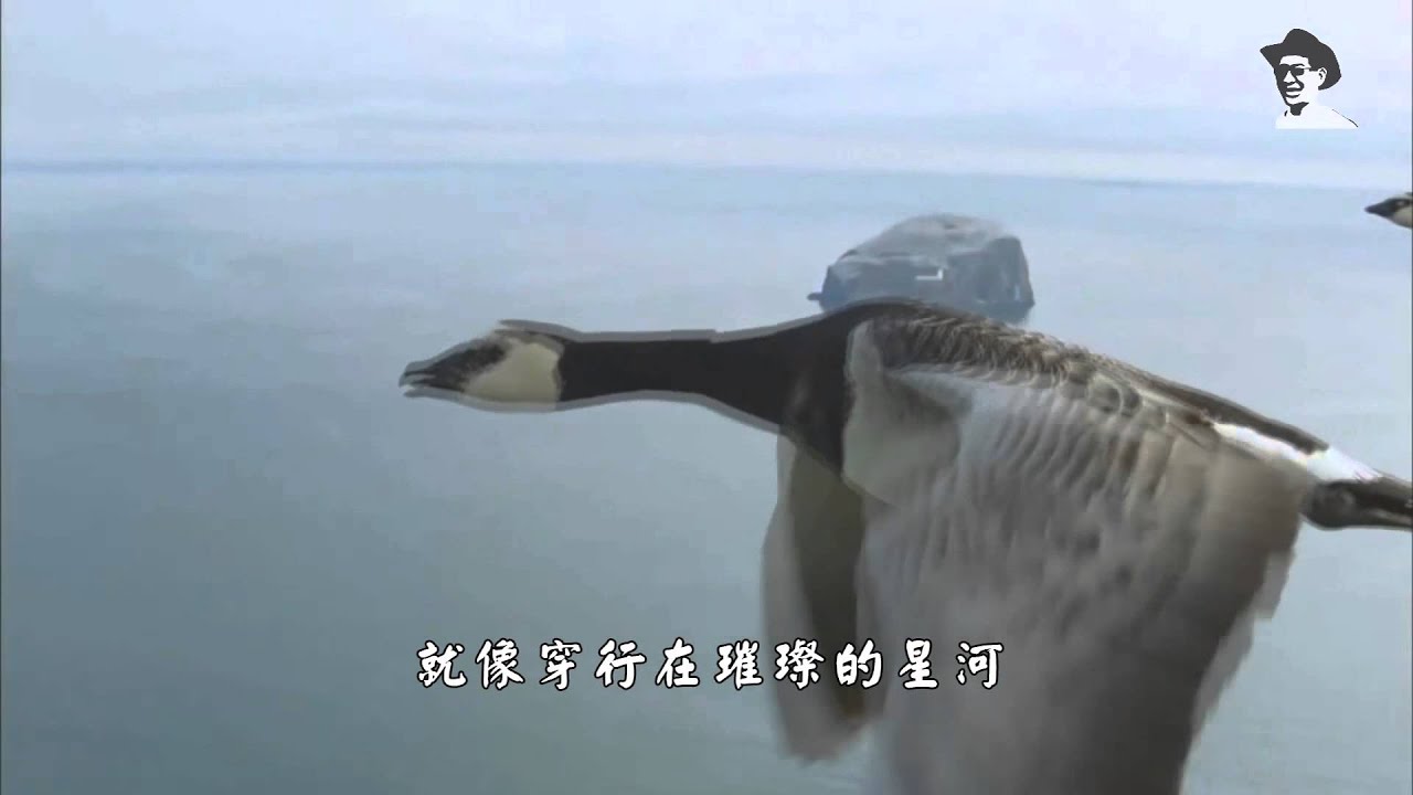 怒放的生命相助同行