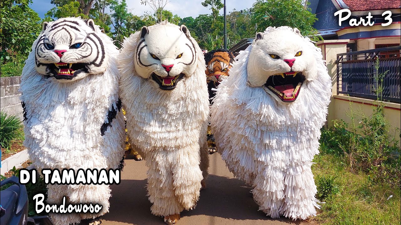 KIRAB CAN MACANAN DAN DRUMBAND SINGO MANGGALA DI TAMANAN BONDOWOSO PART3.mp4