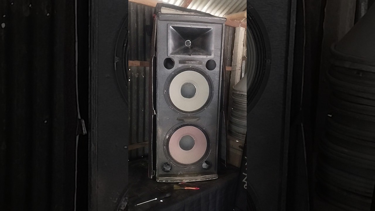 Jbl Speaker Problem #msibdvlog #djsoundbox #djspeakers