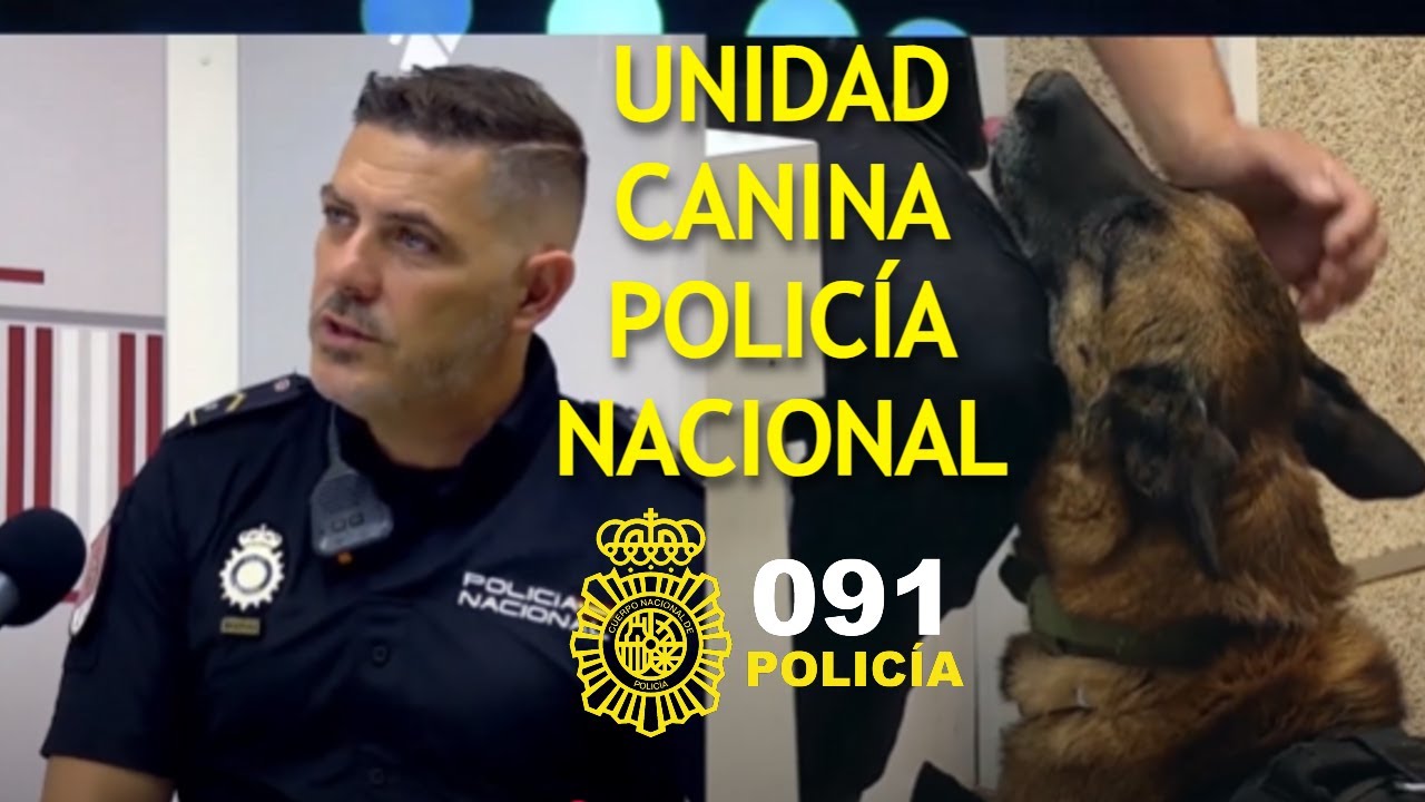 GUIAS CANINOS | 091 Policía