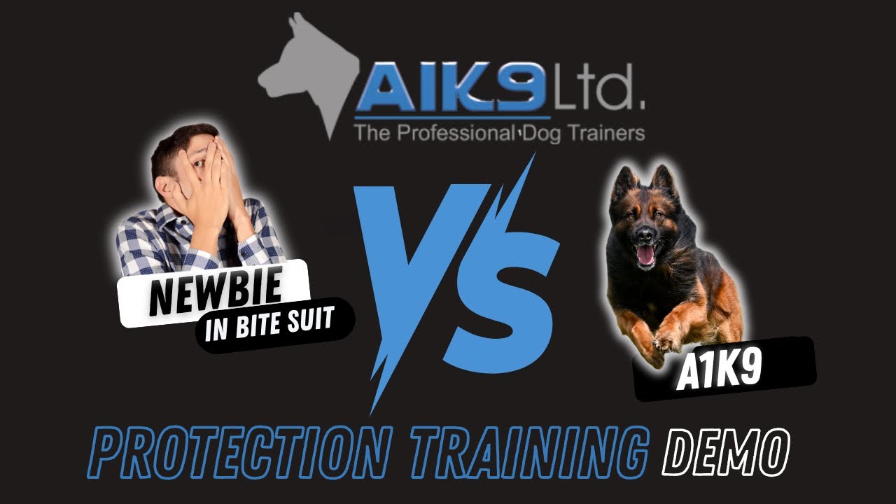 NEWBIE IN BITE-SUIT VS A1K9