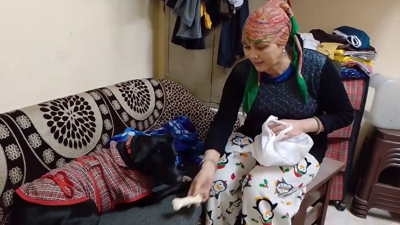 चेरी सब का ध्यान रखती हैदेखो चेरी बहुत समझदार है 🐶🥰#dog#viral#video#punctual cherry#YouTube 👍🏼👀👌🏼