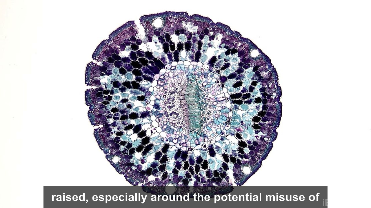 Stem Cell Therapy: Science and Ethics