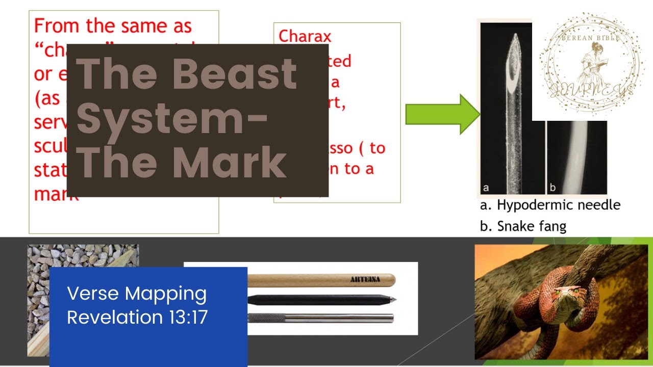 The Beast System - The Mark  (Verse Mapping Revelation 13:17)