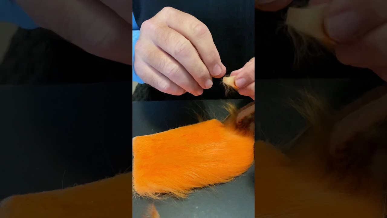 BWCflies Donny Brasco Fly Tying Demo Step by Step