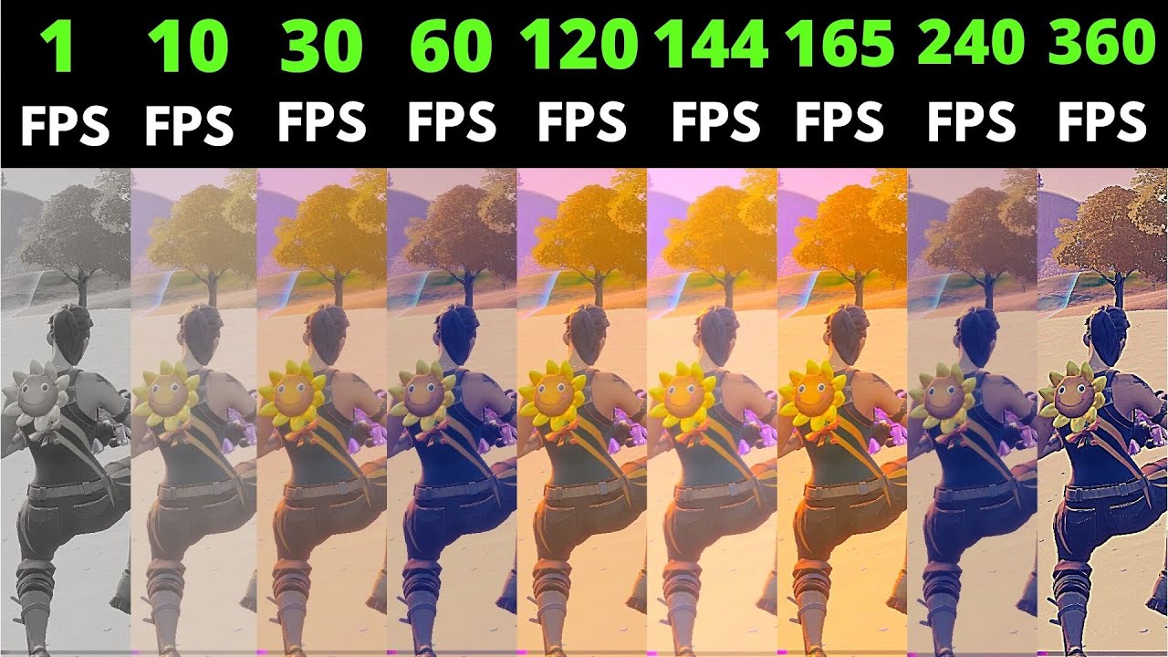 Fortnite 1fps vs 10fps vs 30fps vs 60fps vs 120fps vs 144fps vs 165fps vs 240fps vs 360fps