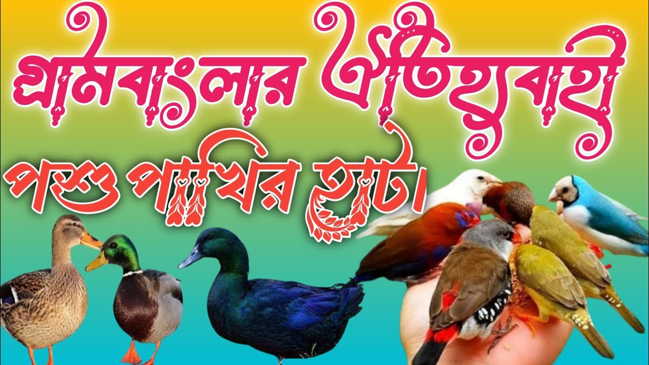 গ্ৰামবাংলার ঐতিহ্যবাহী পশুপাখির হাট।।Garāmabānlāra aitihyabāhī paśupākhira hāṭa.