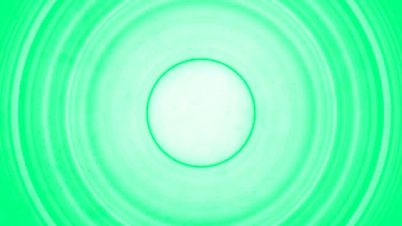 11.29.2025 - Green Leaf III