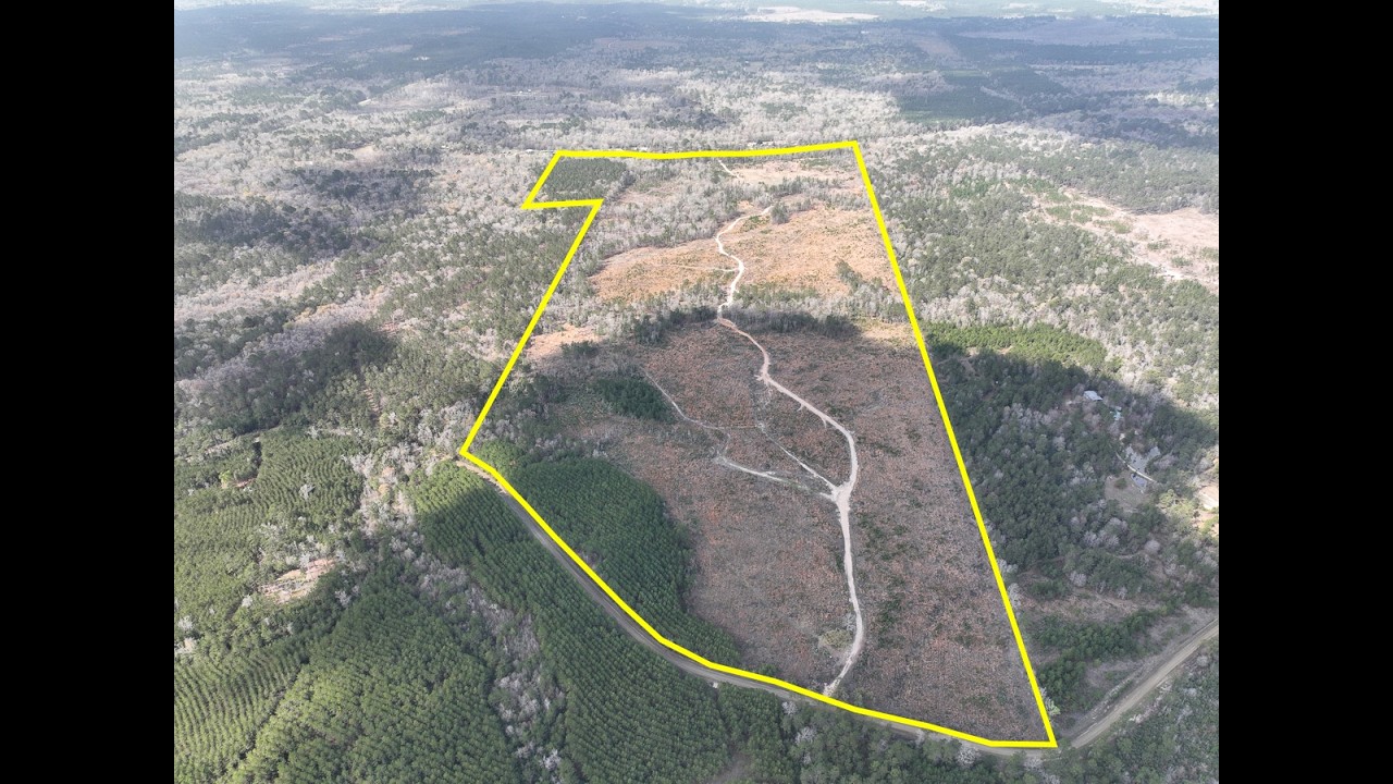 203 acres | Neches River Front | County Road 37 | Jasper Co., Texas