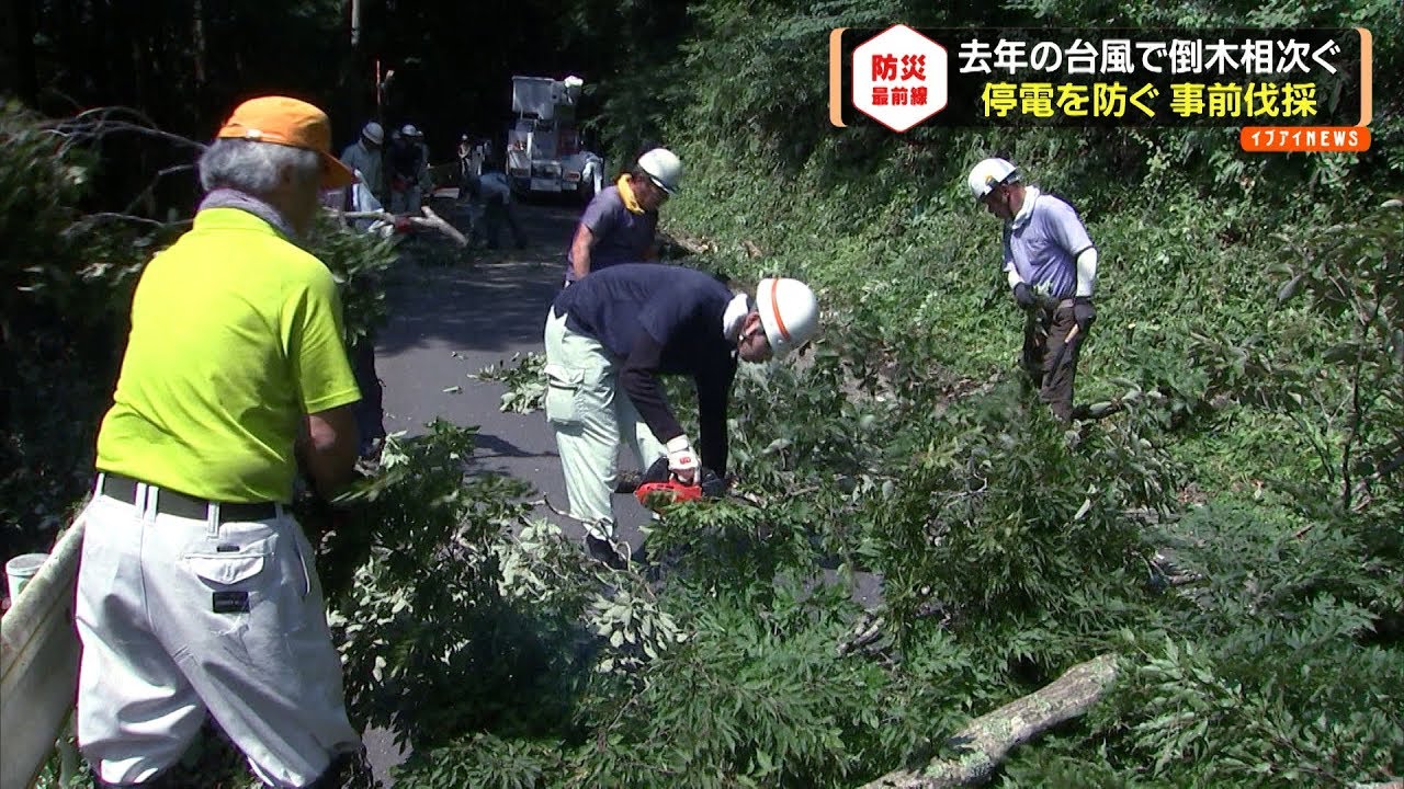 停電を防ぐ　事前伐採　２０１８年の台風で倒木相次ぐ【わたしの防災】