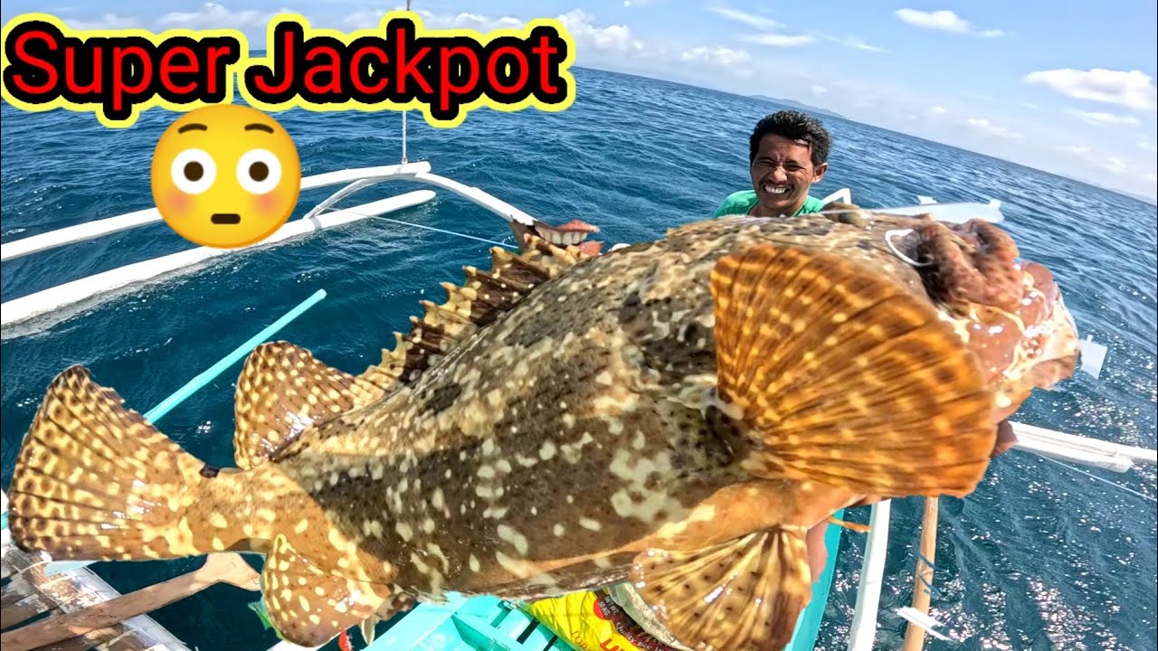 Huge marble Grouper Nadaanan ko Nanaman!