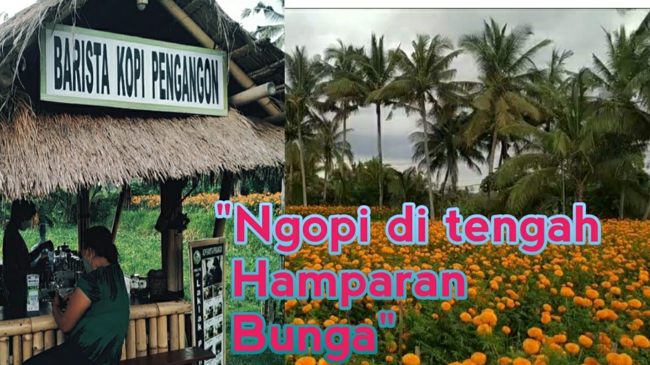 NGOPI CANTIK BARENG TIM PSC KRIS KLUNGKUNG KE WARUNG KOPI LAKLAK PENGANGON, BAKAS KLUNGKUNG BALI
