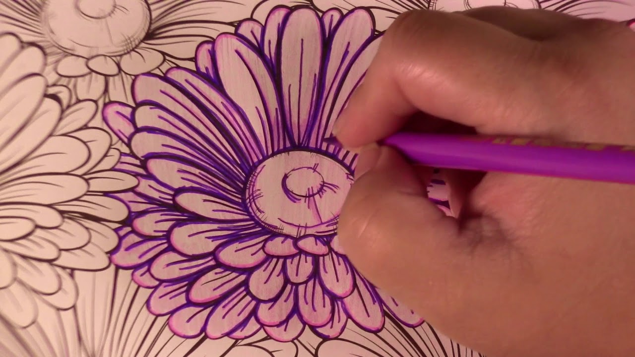 Fine Liner Coloring Technique