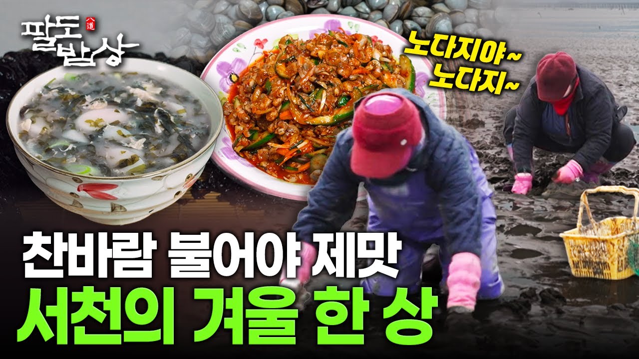찬바람이 키운 서천의 맛, 물김굴떡국과 동죽회무침으로 차린 겨울바다 한 상 | KBS 260207 방송