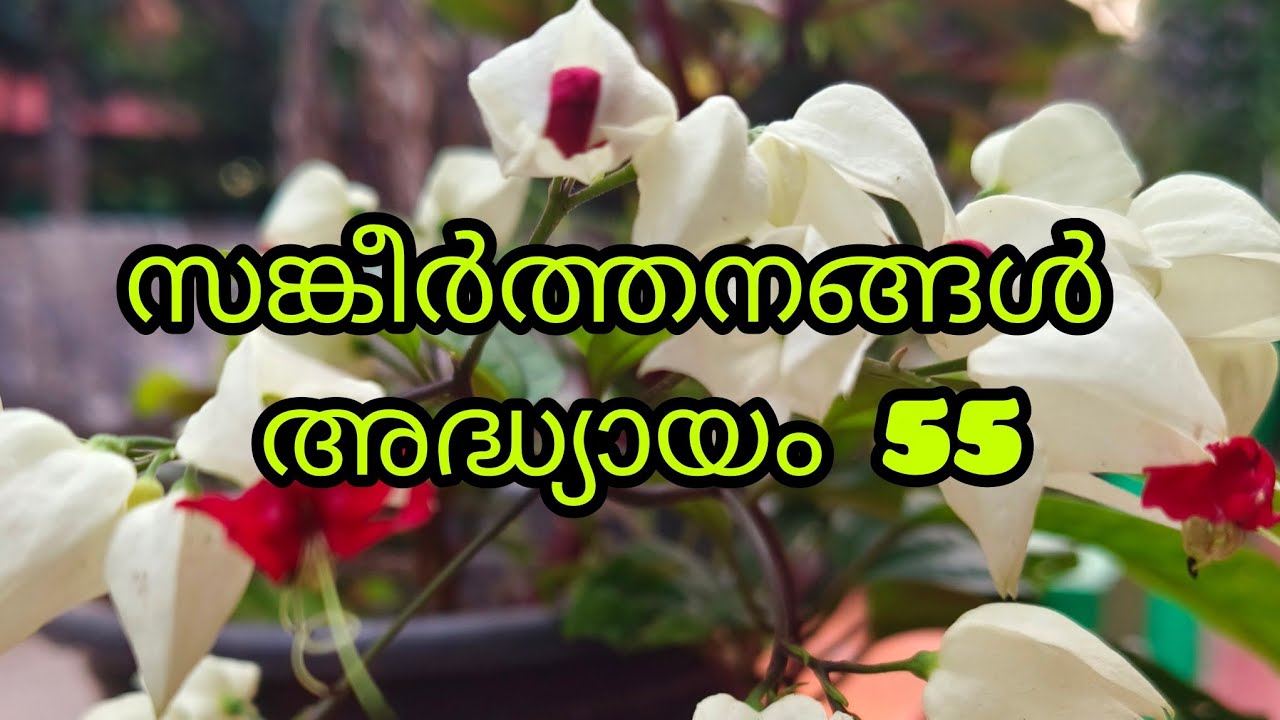 ബൈബിൾ വായന സങ്കീർത്തനങ്ങൾ അദ്ധ്യായം 55(Bible sankeerthanangal adyayam 55)