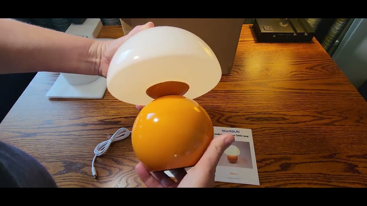 Everything you should know about this rechargeable mushroom lamp