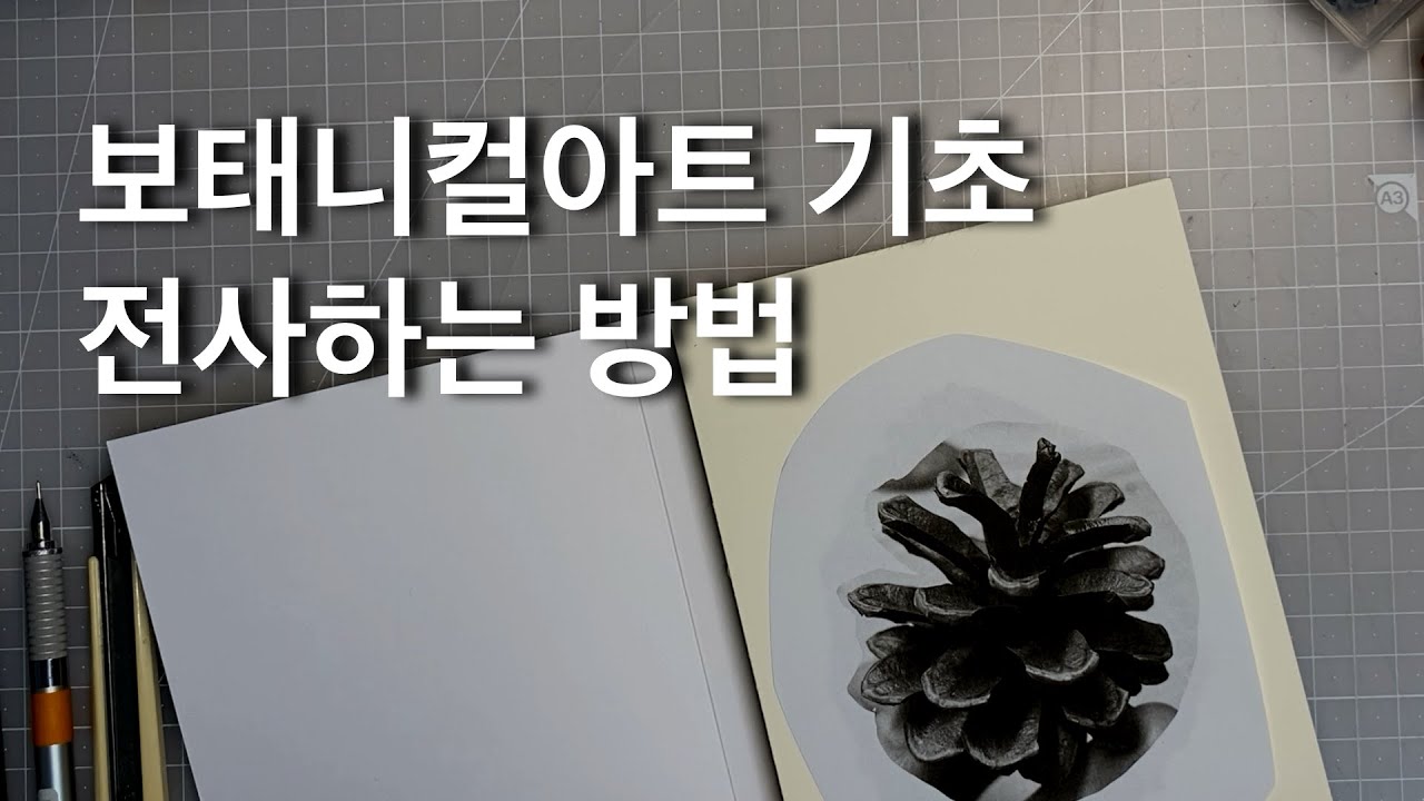 보태니컬아트 기초 전사하는 법