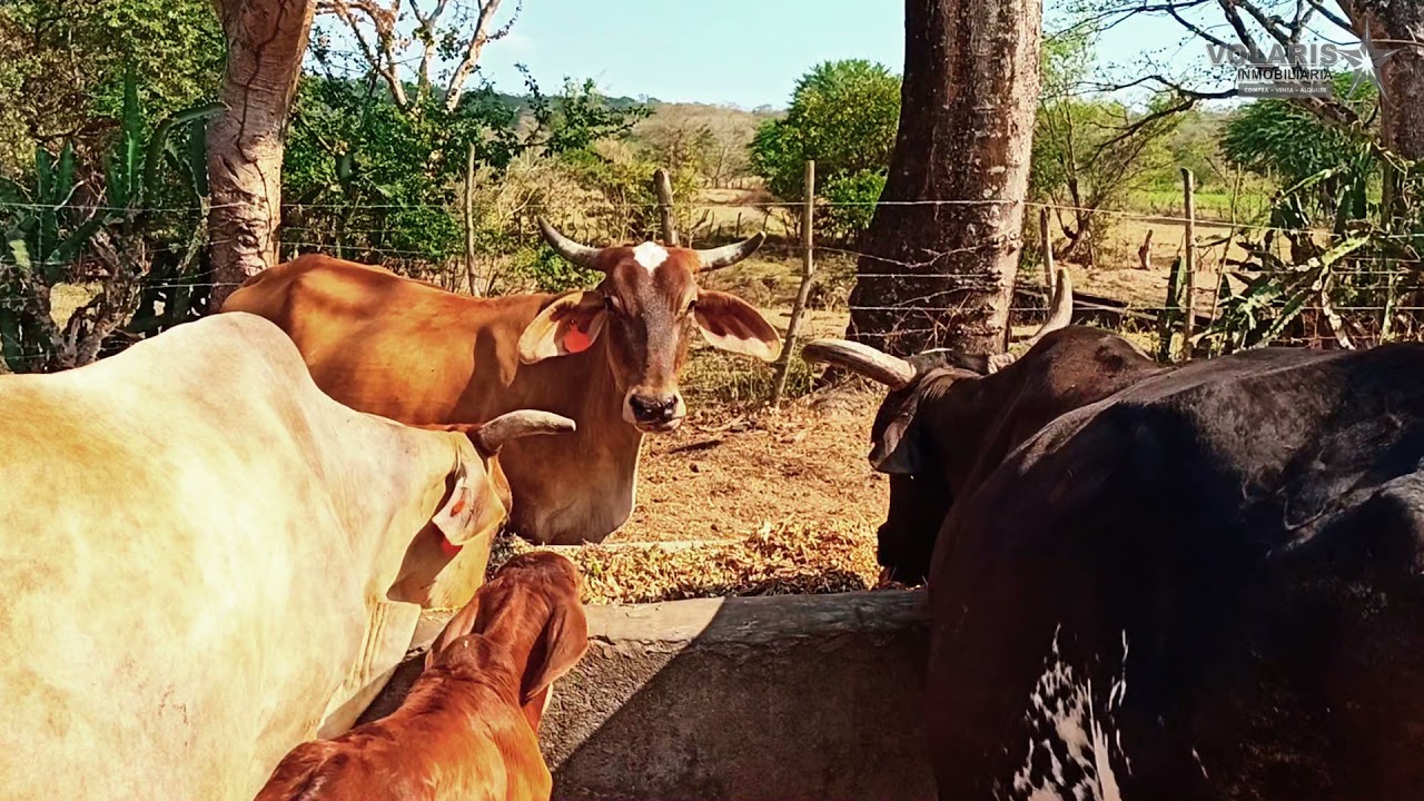 Finca en venta, San Pablo Tacachico, La Libertad | Video Drone