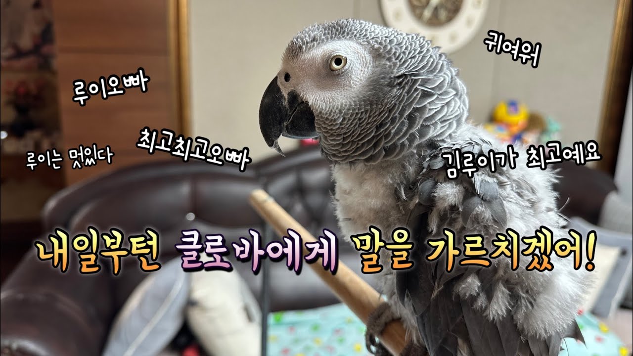 클로바가 새동생들보다 말 잘한다는 걸 깨달은 김루잌ㅋㅋㅋ / 감사기도도 잊지않는 뤼장로님