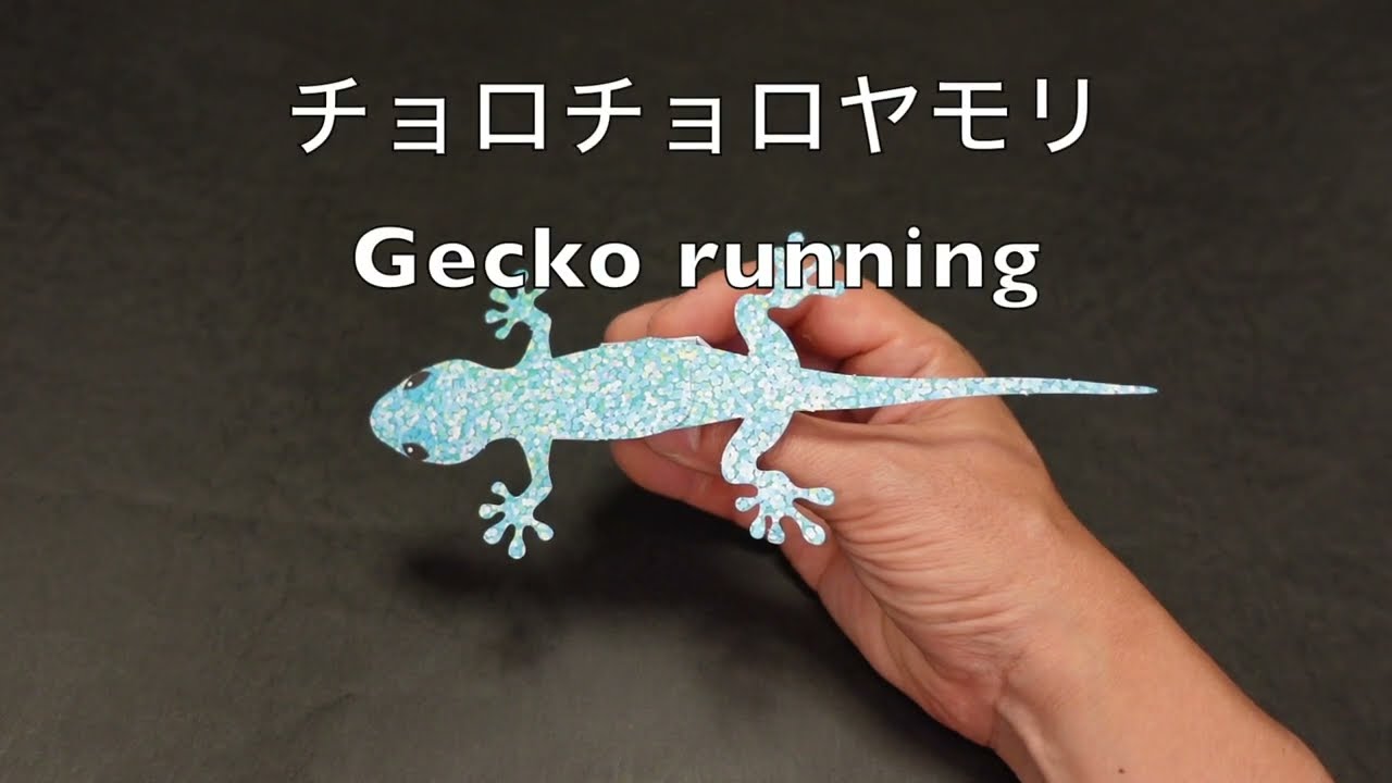 チョロチョロヤモリ　Gecko running