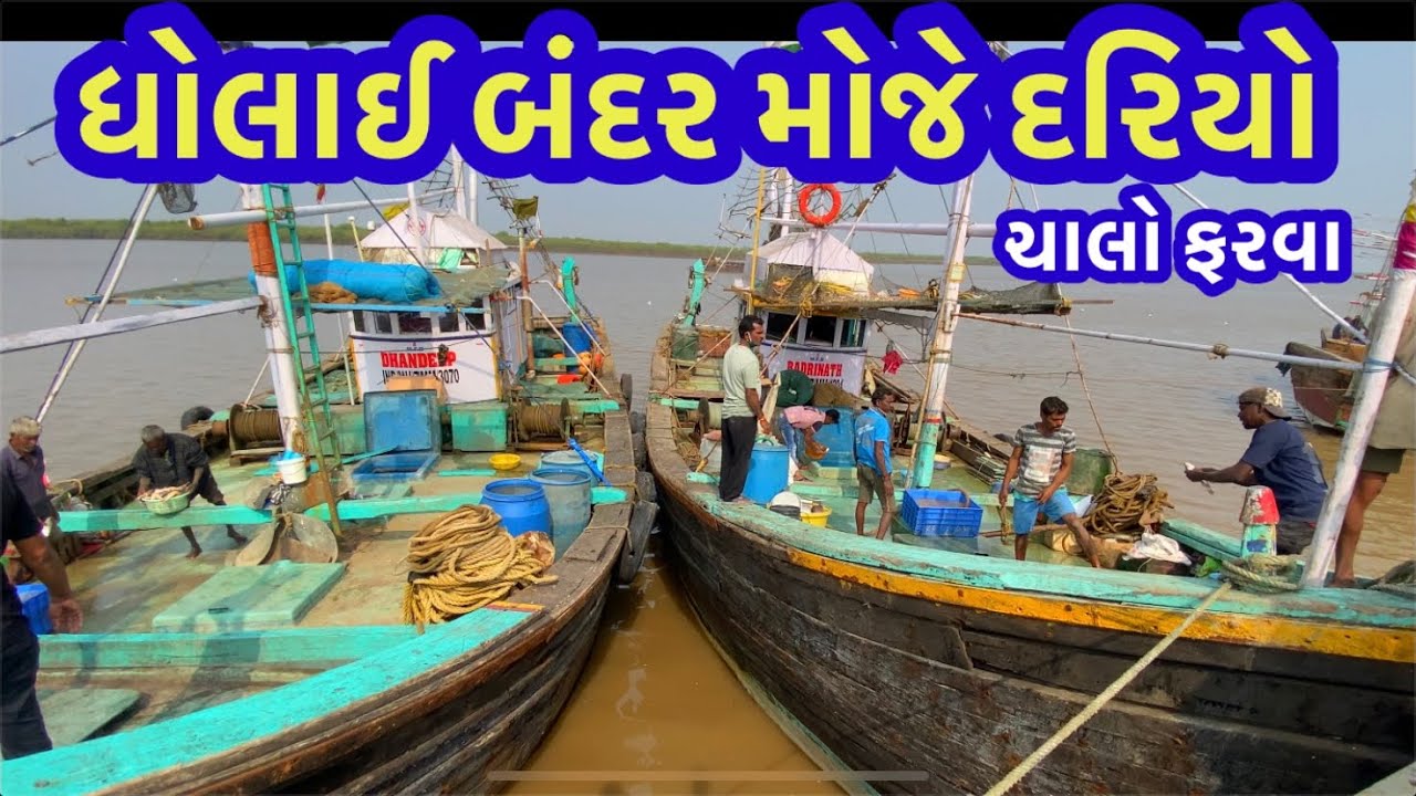 ધોલાઇ બંદર મોજે દરિયો,માછલી જ માછલી |Dholai bandar|Dholai port|gujarati vlog|