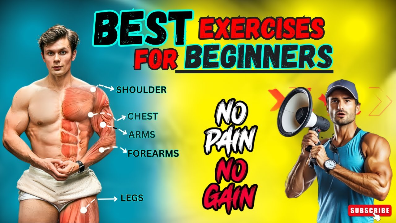 The Best Muscles Exercises For Every Beginner I Rihan Rifat