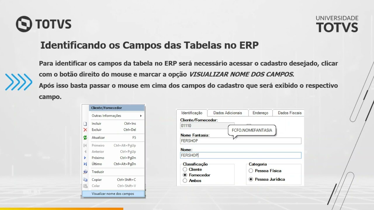 03   IDENTIFICANDO OS CAMPOS DA BASE | Treinamento SQL RM TOTVS