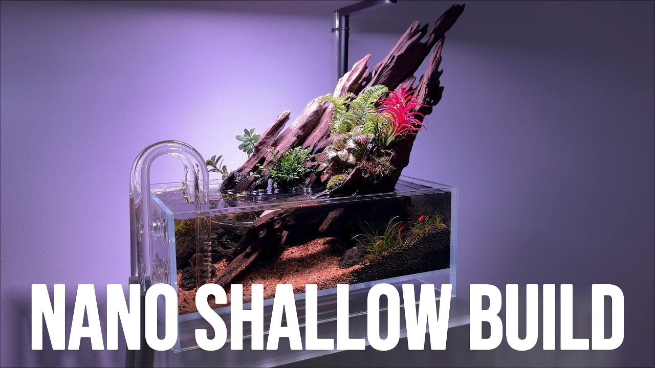 Учебное пособие по мелководному наноаквариуму &mdash; полное руководство по сборке