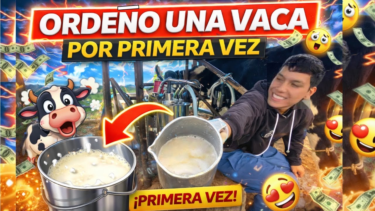👉 De la ciudad al campo: mi primer ordeño 🐄🥛