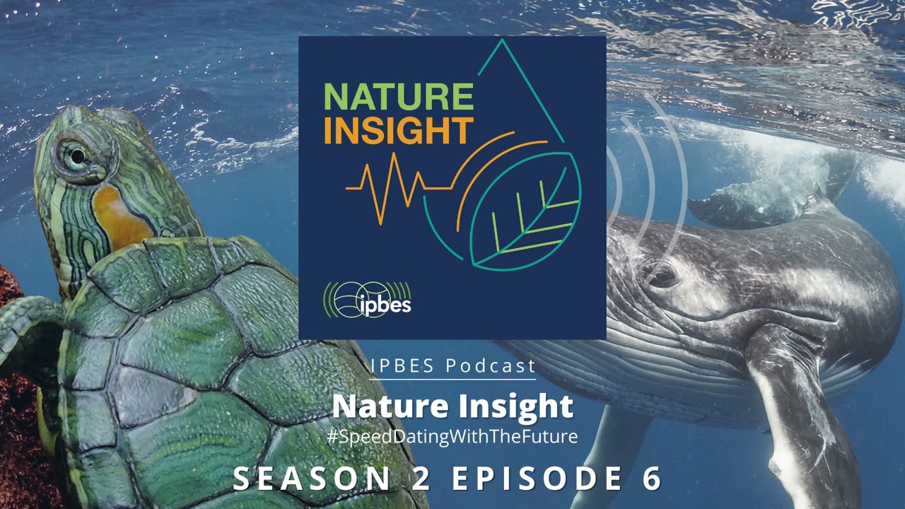 Nature Insight &mdash; подкаст IPBES &mdash; Сезон 2, эпизод 06: Делаем невидимое видимым: природа и экономика