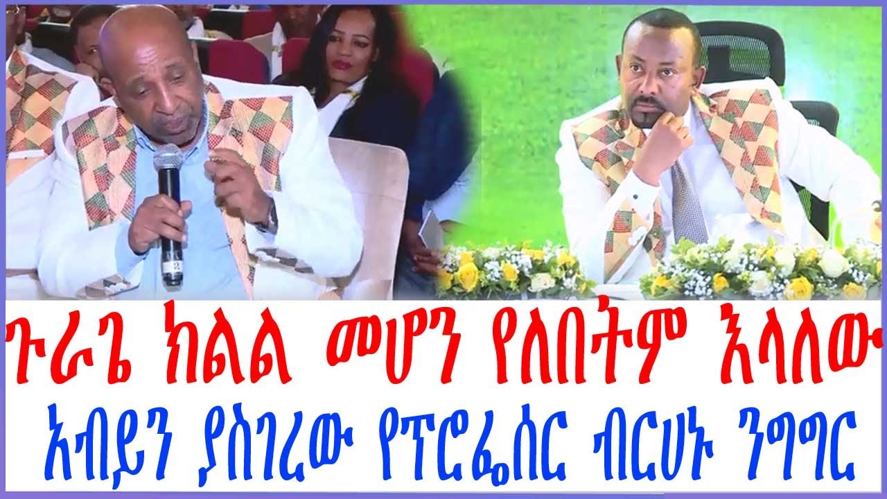 ጉራጌ ክልል መሆን የለበትም እላለው ዶ/ር አብይን ያስገረው የፕሮፌሰር ብርሀኑ ንግግር