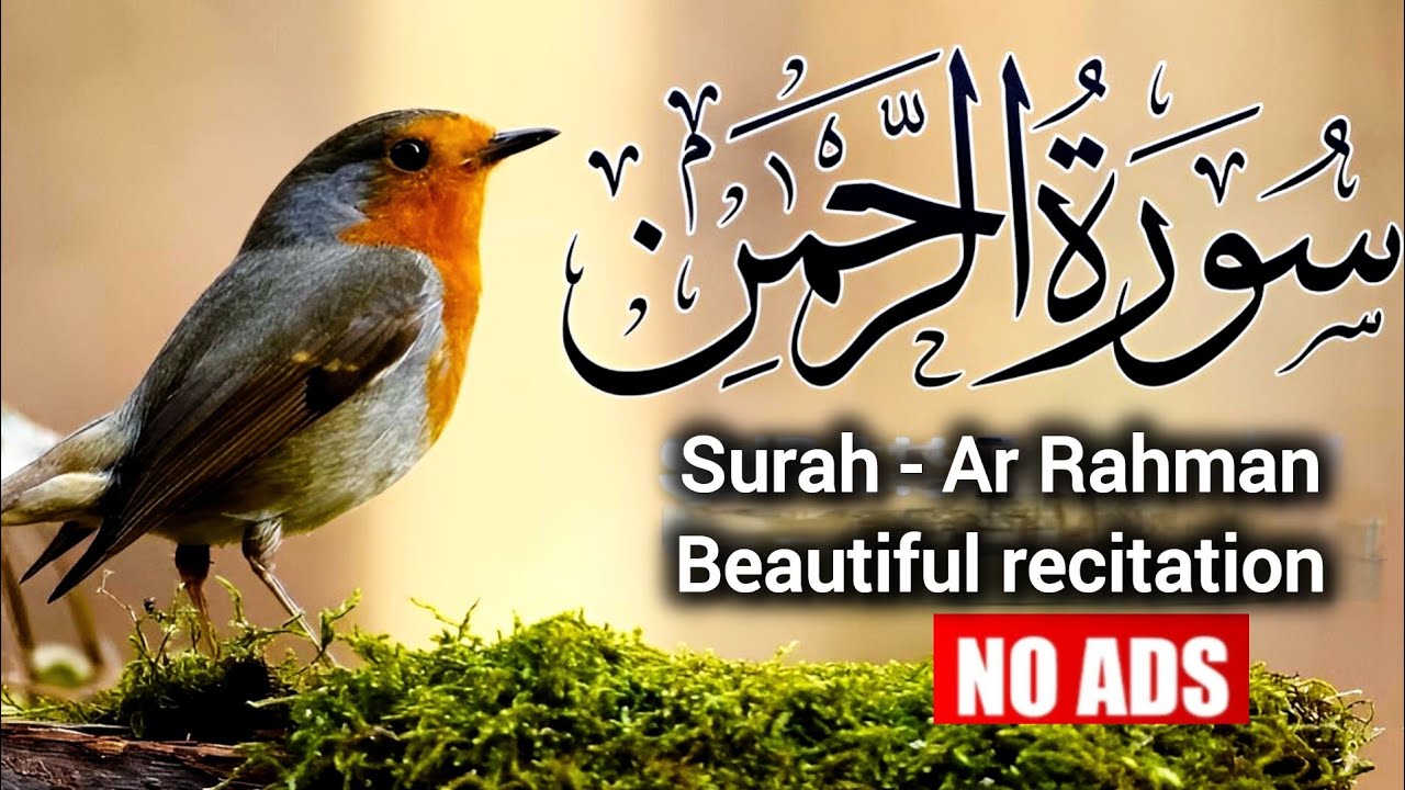 Surah Rahman Urdu Tarjuma k Sath