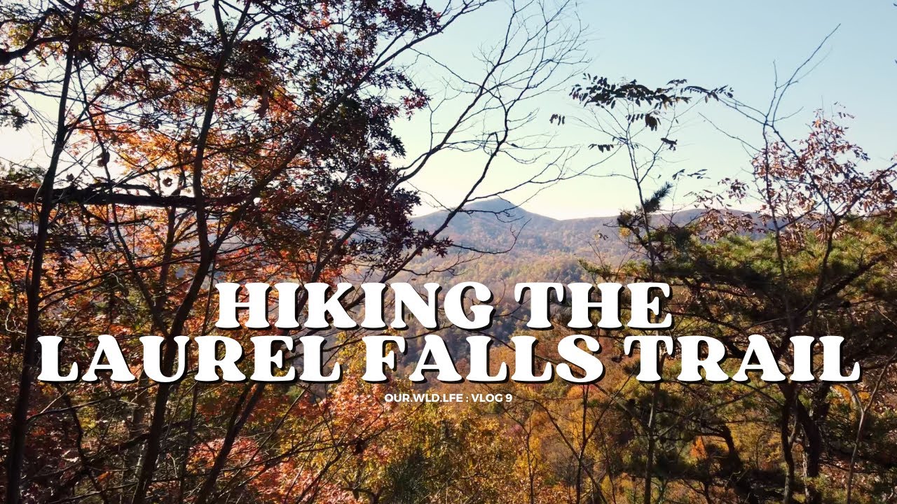 POV Hiking Laurel Falls Trail | Great Smoky Mountains Adventure