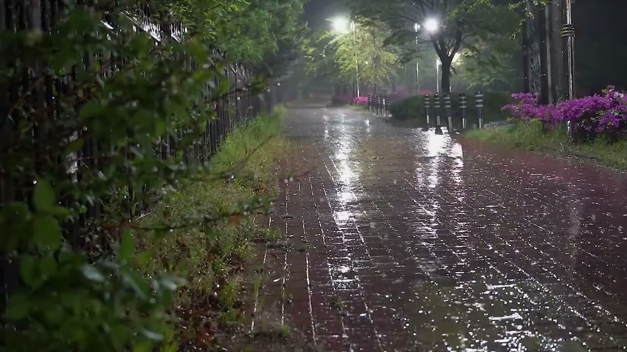 Идеальный Звук Дождя для Глубокого Сна 🌧️ Помогает за 5 минут #shorts #rain