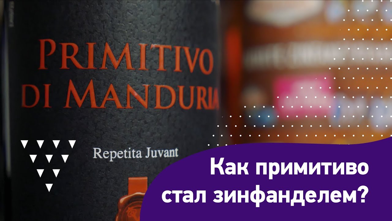 Примитиво и зинфандель &ndash; один и тот же сорт. Что общего в винах Италии и Калифорнии