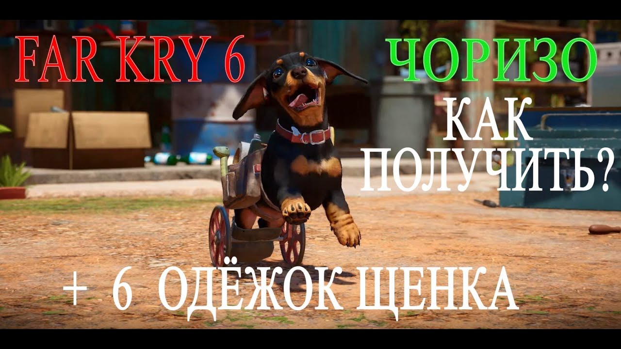 FAR CRY 6_Как получить маленького щенка инвалида Чоризо +6 специальных одёжок