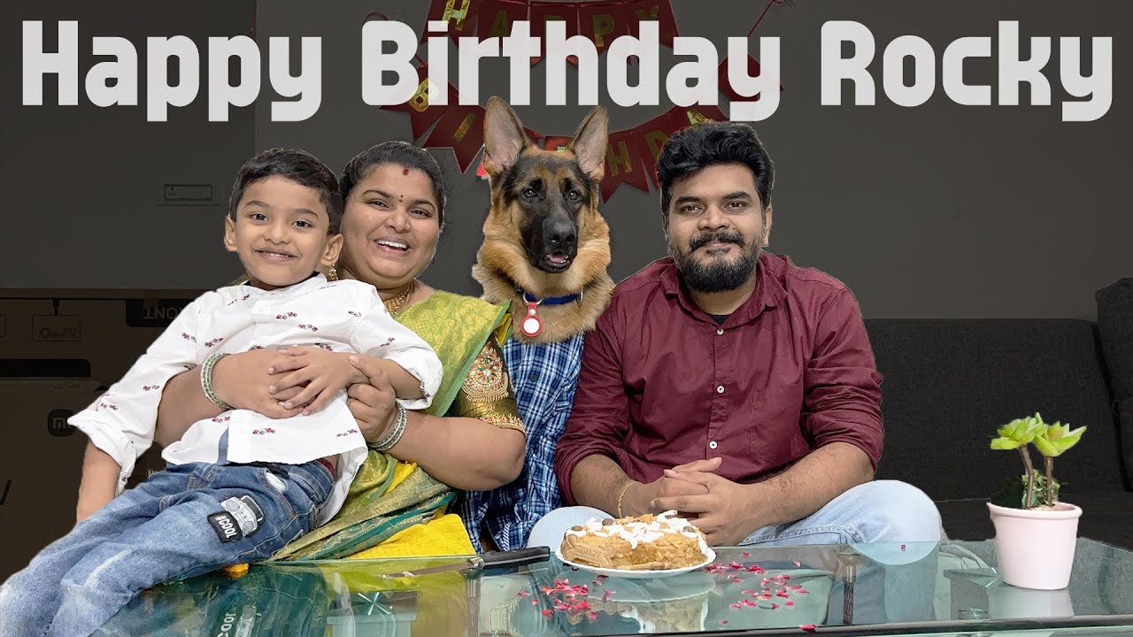 Rocky (German Shepherd) 1st Birthday Celebration