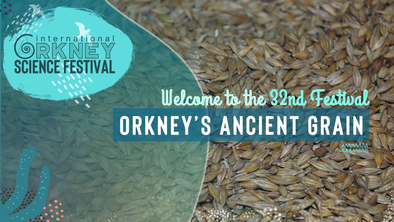 ORKNEY'S ANCIENT GRAIN