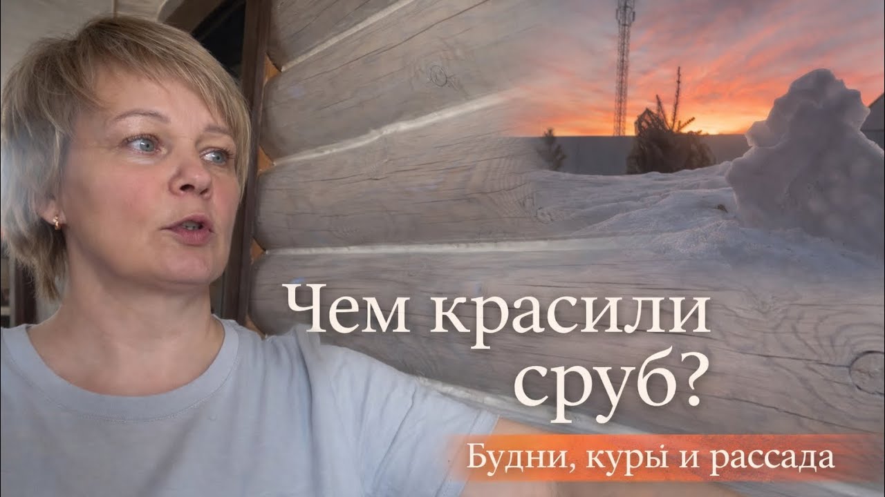 Будни в срубе: Чем мы красили дом? 🪵 Болезнь курицы и весенние хлопоты в деревне