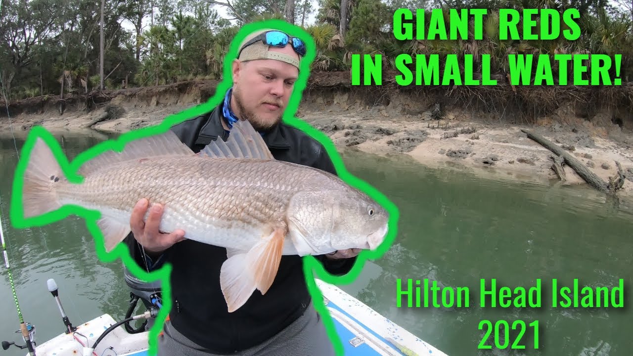 HOW TO:  Catching BIG redfish in the WINTER on Hilton Head Island (This simple rig slays)