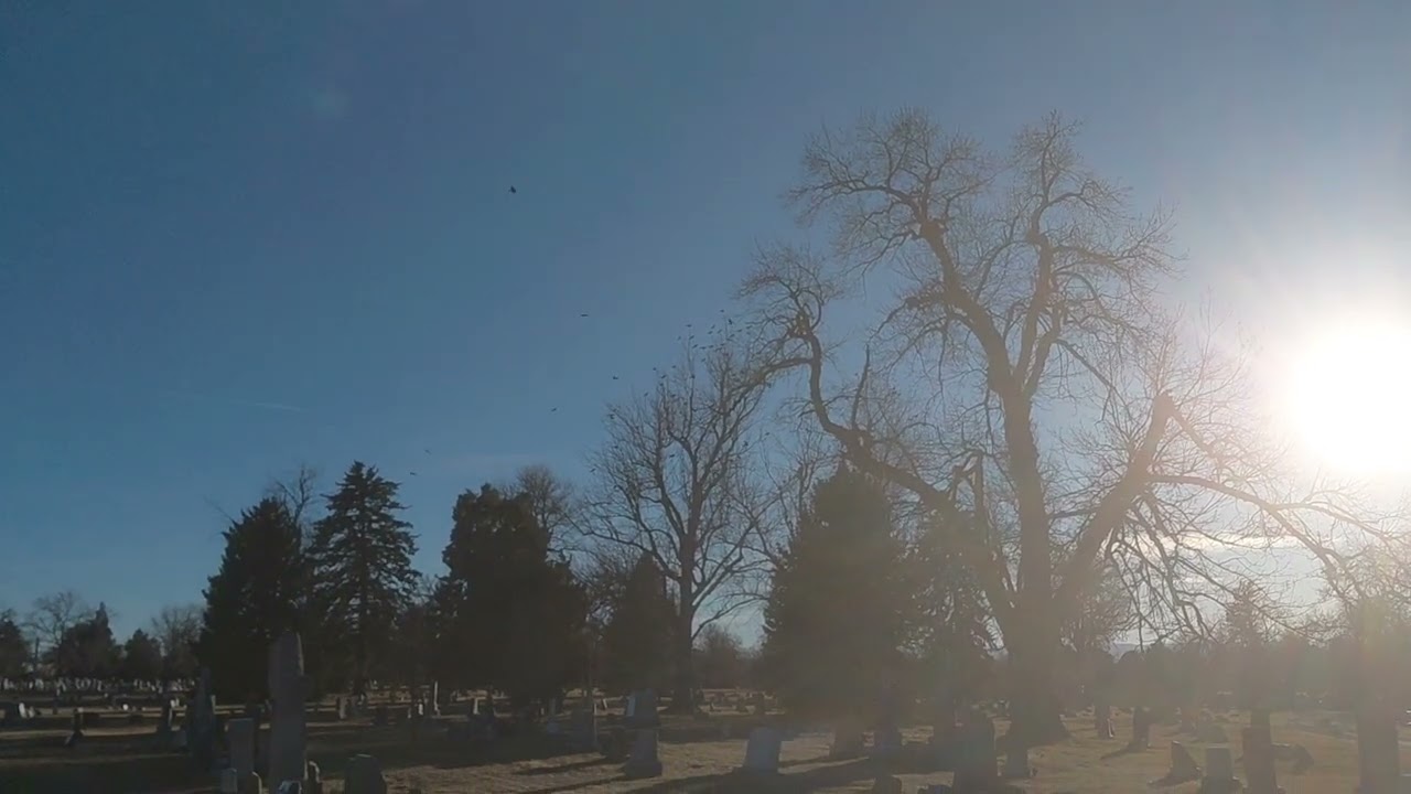 Raven party at cemetery 
